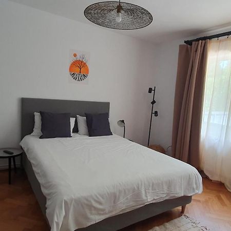 The Pines Serviced Apartments 브라쇼브 외부 사진